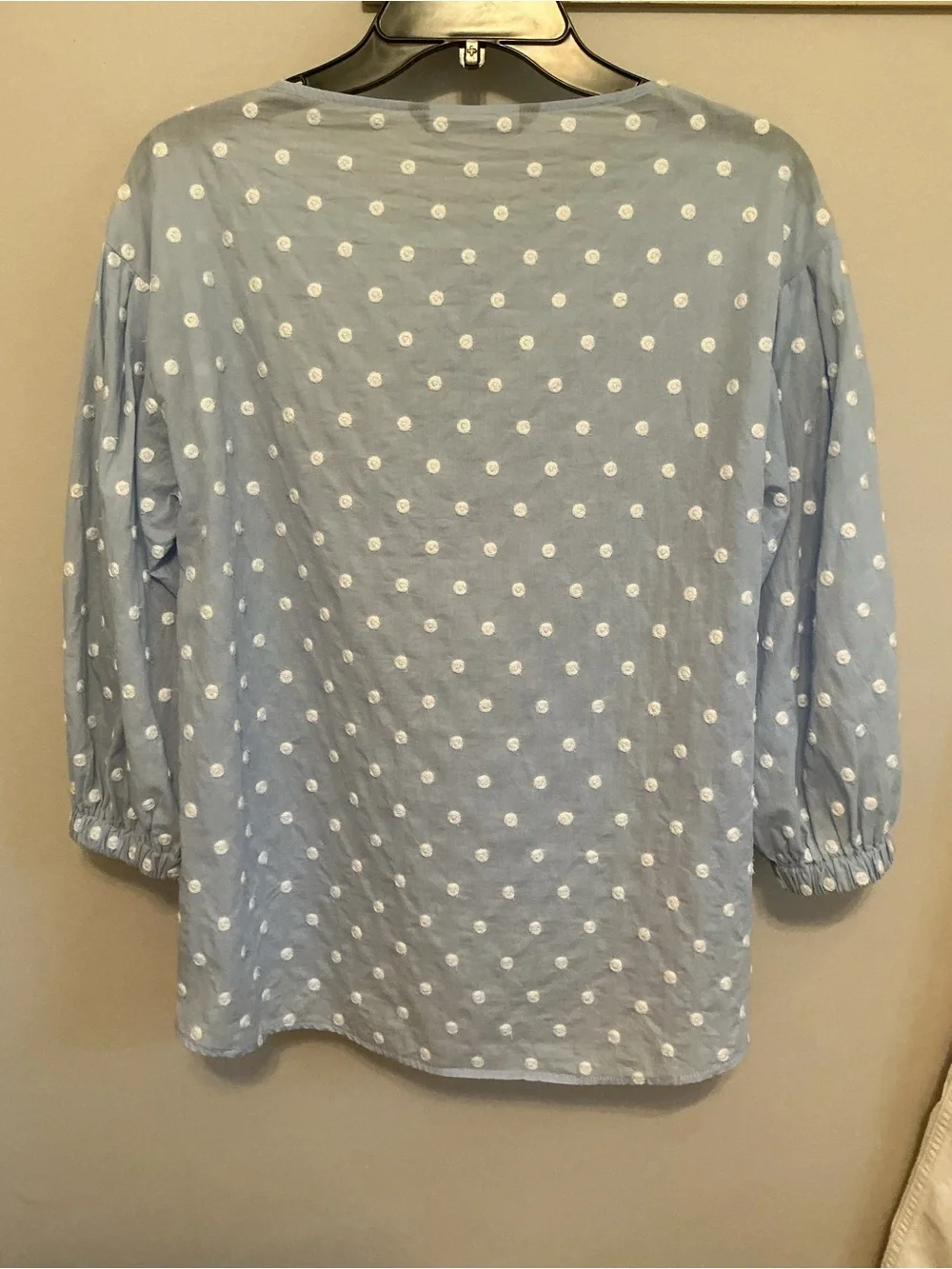 Zara Light Blue Embroidered Polka Dot Puff-Sleeve Top